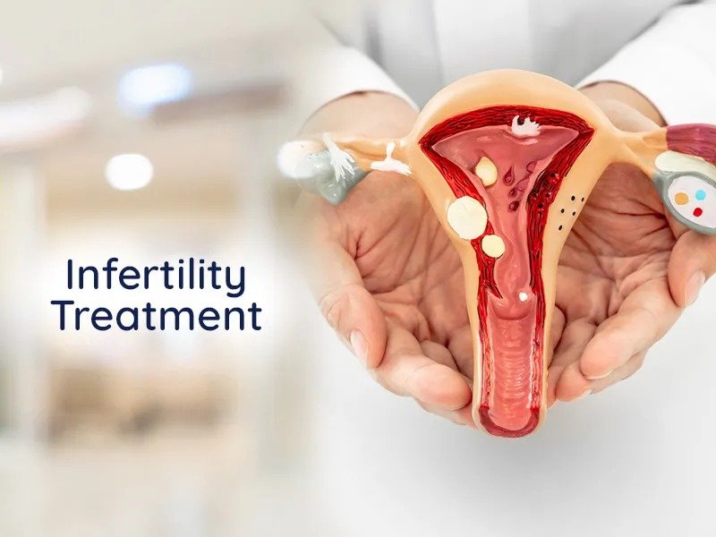 Infertiltiy Treatment in Paschim Vihar